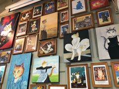 -猫咪博物馆(顶澳仔猫街店)