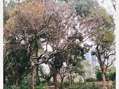 -九龙公园