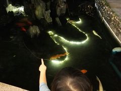 -荔城生鲜盛宴(番禺旗舰店)
