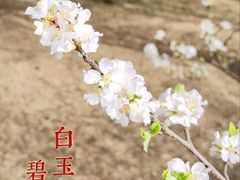 -国家植物园