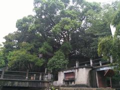 -蒋氏故居