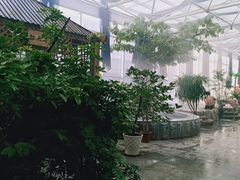 -盛彼得温泉度假酒店
