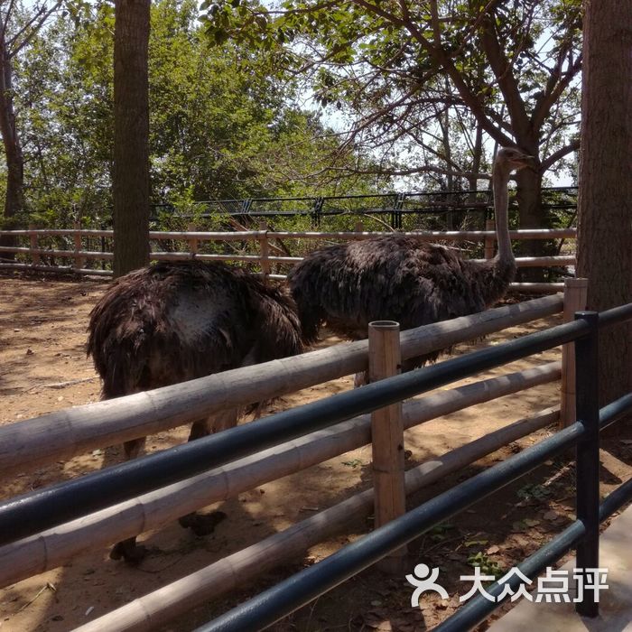 大連森林動物園