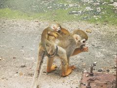 -秦皇岛野生动物园