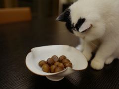 -阿男野栗王(金门路店)