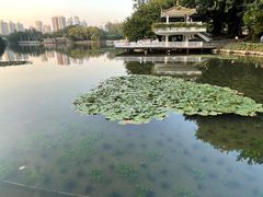 -荔枝公园(福田区)