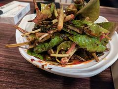 鱼腥草-望京一号(请您到博雅店用餐·博雅店)
