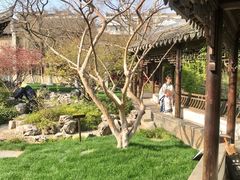 -芥子园