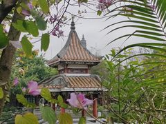 -顺峰山公园
