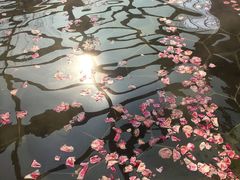 -苏州湾王焰温泉度假酒店