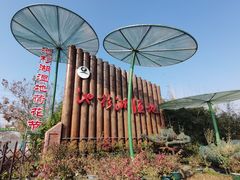 -池杉湖湿地公园