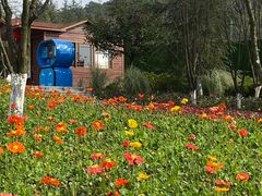 -铁山坪森林公园