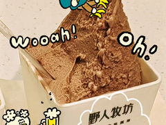 -野人先生现做冰淇淋(西安赛格店)