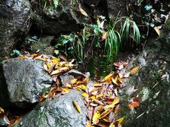 -藏龙百瀑风景区