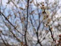 -广州市流溪河国家森林公园