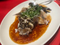 -金悦轩海鲜城(渔人码头店)