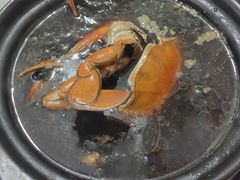 -老财炒饭·熟地蟹·冬瓜蟹