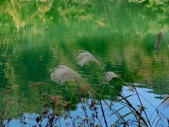 -会稽山峡洞漂流-上青古道
