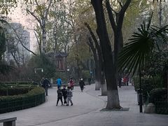 -莲湖公园