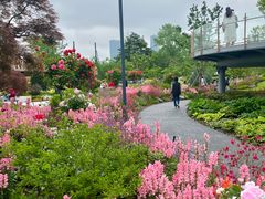 -上海植物园-4号门售票处