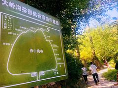 -大岭沟猕猴桃谷风景区