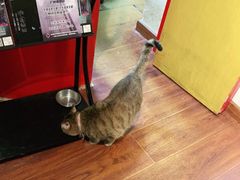 -H立方实景剧情密室(天河旗舰店)