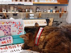 -猫的天空之城概念书店(杭州南宋御街店)