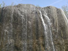 -合肥滨湖国家森林公园