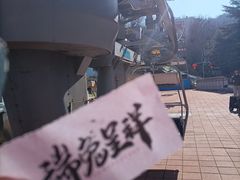 -富斯特索道