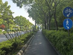 -新江湾城公园