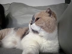-砂之船奥特莱斯(合肥店)