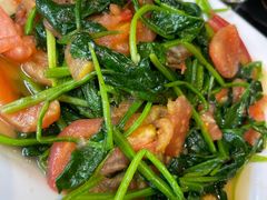 西红柿菠菜-百家班(市府店)