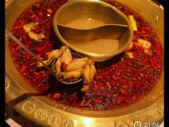 特色美蛙-哥老官重庆美蛙鱼头(宝山龙湖店)