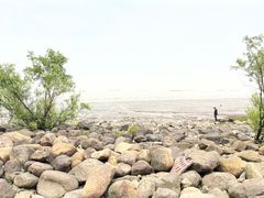 -上海吴淞炮台湾国家湿地公园