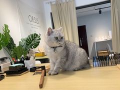 -Oasis绿洲银饰珍珠手作diy(壹方城店)