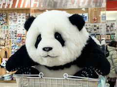 -熊猫邮局(少城店)
