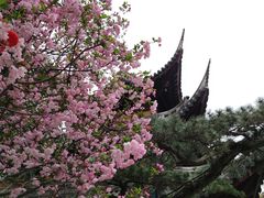 -龙华寺