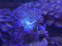 -白佛花鸟鱼虫批发市场小型宠物交易(东区)