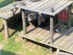 -大连森林动物园