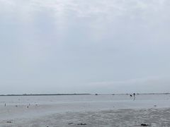 -奉贤海滩