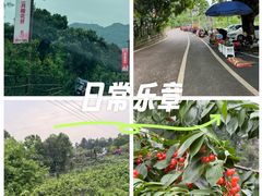 -樱桃山旅游景区