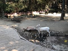 -长鹿旅游休博园