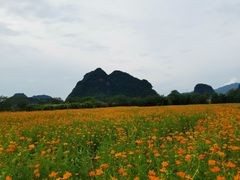 -英西峰林·洞天仙境
