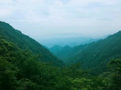 -东天目山风景区