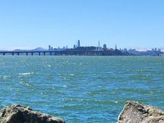 -香港东海海鲜酒家