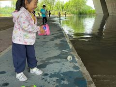 -绿堤公园