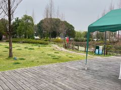 -田园东方蜜桃村的田野营地
