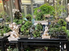 -川旺角川粤融合菜•海景餐厅(星海广场店)