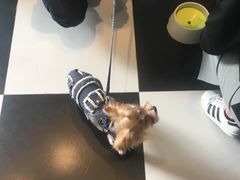 -Oh My Dog宠物沙龙(伊珊娜皮毛护理店)