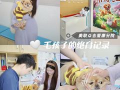 -美联众合爱康动物医院•复杂内科•肿瘤科•牙科•腔镜诊疗中心